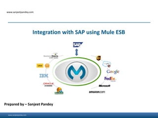 www.sanjeetpandey.com
www.sanjeetpandey.com
Prepared by – Sanjeet Pandey
Integration with SAP using Mule ESB
 