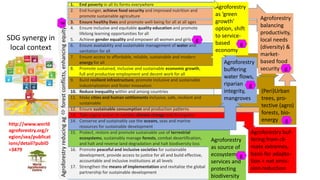 Agroforestry Pattern Integrative agroforestry science | PPTX