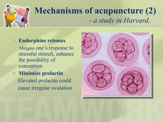 Mechanisms of acupuncture (2)   - a study in Harvard, Endorphins releases Mitigate  one’s response to stressful stimuli, enhance the possibility of  conception Minimize prolactin Elevated prolactin could cause irregular ovulation  