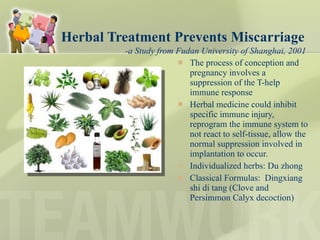   Herbal Treatment Prevents Miscarriage   -a Study from Fudan University of Shanghai, 2001 The process of conception and pregnancy involves a suppression of the T-help immune response Herbal medicine could inhibit specific immune injury, reprogram the immune system to not react to self-tissue, allow the normal suppression involved in implantation to occur.  Individualized herbs: Du zhong Classical Formulas:  Dingxiang shi di tang (Clove and Persimmon Calyx decoction) 