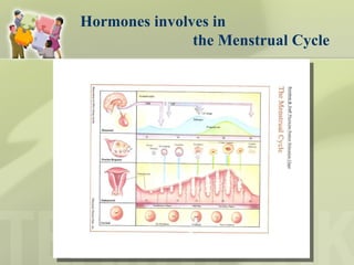 Hormones involves in  the Menstrual Cycle 