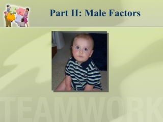 Part II: Male Factors 