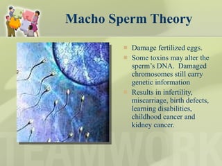 Macho Sperm Theory Damage fertilized eggs.  Some toxins may alter the sperm’s DNA.  Damaged  chromosomes still carry genetic information Results in infertility, miscarriage, birth defects, learning disabilities, childhood cancer and kidney cancer. 