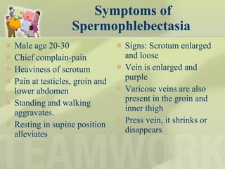 Symptoms of Spermophlebectasia  Male age 20-30 Chief complain-pain Heaviness of scrotum Pain at testicles, groin and lower abdomen Standing and walking aggravates.  Resting in supine position alleviates Signs: Scrotum enlarged and loose Vein is enlarged and purple Varicose veins are also present in the groin and inner thigh Press vein, it shrinks or disappears  