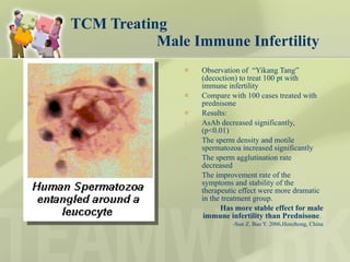 TCM Treating    Male Immune Infertility Observation of  “Yikang Tang” (decoction) to treat 100 pt with immune infertility  Compare with 100 cases treated with prednisone Results:  AsAb decreased significantly, (p<0.01) The sperm density and motile spermatozoa increased significantly The sperm agglutination rate decreased  The improvement rate of the symptoms and stability of the therapeutic effect were more dramatic in the treatment group. Has more stable effect for male immune infertility than Prednisone .  -Sun Z. Bao Y. 2006,Honzhong, China 