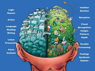 Logic
Reason
Action
Language
Reading
Writing
Linear
Processing
Facts
Analysis
Intuition
Emotion
Receptive
Visual
Recognition
Images
Patterns
Depth
Parallel
Processing
Feelings
Synthesis
Holistic
 