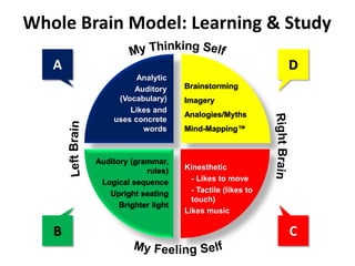 Whole Brain Model: Learning & Study
Analytic
Auditory
(Vocabulary)
Likes and
uses concrete
words
Brainstorming
Imagery
Analogies/Myths
Mind-Mapping™
Auditory (grammar,
rules)
Logical sequence
Upright seating
Brighter light
Kinesthetic
- Likes to move
- Tactile (likes to
touch)
Likes music
A
B C
D
 