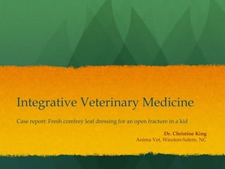Integrative Veterinary Medicine
Case report: Fresh comfrey leaf dressing for an open fracture in a kid
Dr. Christine King
Anima Vet, Winston-Salem, NC
 