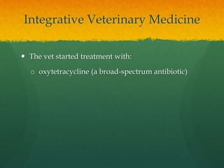 Integrative Veterinary Medicine
 The vet started treatment with:
o oxytetracycline (a broad-spectrum antibiotic)
 