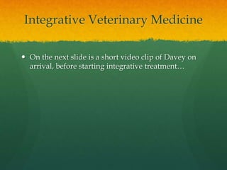 Integrative Veterinary Medicine
 On the next slide is a short video clip of Davey on
arrival, before starting integrative...