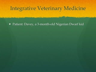 Integrative Veterinary Medicine
 Patient: Davey, a 3-month-old Nigerian Dwarf kid
 