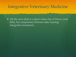 Integrative Veterinary Medicine
 On the next slide is a short video clip of Davey (and
Ellie, his companion) 24 hours aft...