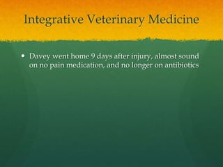 Integrative Veterinary Medicine
 Davey went home 9 days after injury, almost sound
on no pain medication, and no longer o...