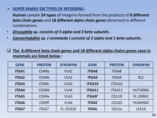 Integrin Types Integrins | PPTX