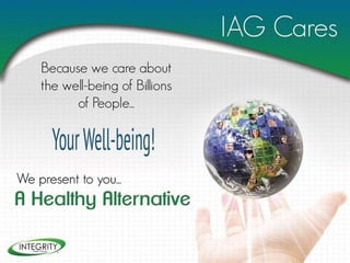 Integrity assets-group-inc-presentation