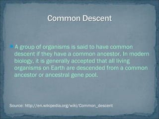 A group of organisms is said to have common
descent if they have a common ancestor. In modern
biology, it is generally accepted that all living
organisms on Earth are descended from a common
ancestor or ancestral gene pool.
Source: http://en.wikipedia.org/wiki/Common_descent
 