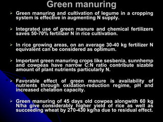 Green manuring Green manuring and cultivation of legume in a cropping system is effective in augmenting N supply. Integrated use of green manure and chemical fertilizers saves 50-70% fertilizer N in rice cultivation. In rice growing areas, on an average 30-40 kg fertilizer N equivalent can be considered as optimum. Important green manuring crops like sesbenia, sunnhemp and cowpeas have narrow C:N ratio contribute sizable amount of plant nutrients particularly N. Favorable effect of green manure is availability of nutrients through oxidation-reduction regime, pH and increased chelation capacity. Green manuring of 45 days old cowpea alongwith 60 kg N/ha give considerably higher yield of rice as well as succeeding wheat by 270-430 kg/ha due to residual effect. 