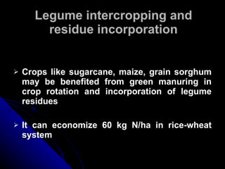 Legume intercropping and residue incorporation Crops like sugarcane, maize, grain sorghum may be benefited from green manuring in crop rotation and incorporation of legume residues It can economize 60 kg N/ha in rice-wheat system 