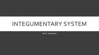 INTEGUMENTARY SYSTEM
By Dr. Nousheen
 