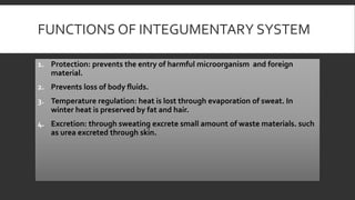 FUNCTIONS OF INTEGUMENTARY SYSTEM
1. Protection: prevents the entry of harmful microorganism and foreign
material.
2. Prevents loss of body fluids.
3. Temperature regulation: heat is lost through evaporation of sweat. In
winter heat is preserved by fat and hair.
4. Excretion: through sweating excrete small amount of waste materials. such
as urea excreted through skin.
 