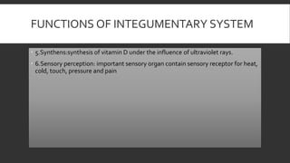 FUNCTIONS OF INTEGUMENTARY SYSTEM
 5.Synthens:synthesis of vitamin D under the influence of ultraviolet rays.
 6.Sensory perception: important sensory organ contain sensory receptor for heat,
cold, touch, pressure and pain
 