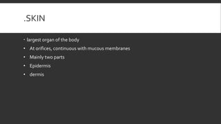 .SKIN
 largest organ of the body
• At orifices, continuous with mucous membranes
• Mainly two parts
• Epidermis
• dermis
 