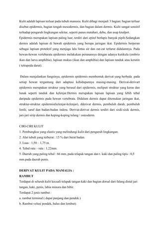 Kulit adalah lapisan terluar pada tubuh manusia. Kulit dibagi menjadi 3 bagian: bagian terluar
disebut epidermis, bagian tengah mesodermis, dan bagian dalam dermis. Kulit sangat sensitif
terhadap pengaruh lingkungan sekitar, seperti panas matahari, debu, dan asap knalpot.
Epidermis merupakan lapisan paling luar, terdiri dari epitel berlapis banyak pipih.Sedangkan
dermis adalah lapisan di bawah epidermis yang berupa jaringan ikat. Epidermis berperan
sebagai lapisan protektif yang menjaga lalu lintas air dan zat-zat terlarut didalamnya. Pada
hewan-hewan vertebarata epidermis melakukan peranannya dengan adanya kutikula (embrio
ikan dan larva amphibia), lapisan mukus (ikan dan amphibia) dan lapisan tanduk atau keratin
( tetrapoda darat).
Dalam menjalankan fungsinya, epidermis epidermis membentuk derivat yang berbeda pada
setiap hewan tergantung dari adaptasi kehidupannya masing-masing. Derivat-derivart
epidermis merupakan struktur yang berasal dari epidermis, meliputi struktur yang keras dan
lunak seperti tanduk dan kelenjar.Dermis merupakan lapisan lapisan yang lebih tebal
daripada epidermis pada hewan vertebrata. Didalam dermis dapat ditemukan jaringan ikat,
struktur-struktur epidermis(kelenjar-kelenjar), dderivat dermis, pembuluh darah, pembuluh
limfe, saraf dan badan-badan indera. Derivat-derivat dermis terdiri dari sisik-sisik dermis,
jari-jari sirip dermis dan keping-keping tulang / osteoderm.
CIRI-CIRI KULIT
1. Pembungkus yang elastis yang melindungi kulit dari pengaruh lingkungan.
2. Alat tubuh yang terberat : 15 % dari berat badan.
3. Luas : 1,50 – 1,75 m.
4. Tebal rata – rata : 1,22mm.
5. Daerah yang paling tebal : 66 mm, pada telapak tangan dan t. kaki dan paling tipis : 0,5
mm.pada daerah penis.
DERIVAT KULIT PADA MAMALIA :
RAMBUT
Terdapat di seluruh kulit kecuali telapak tangan kaki dan bagian dorsal dari falang distal jari
tangan, kaki, penis, labia minora dan bibir.
Terdapat 2 jenis rambut :
a. rambut terminal ( dapat panjang dan pendek.)
b. Rambut velus( pendek, halus dan lembut).
 