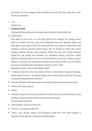 para leluhur.The korset panggul lebih berkembang dan terdiri dari tiga tulang yaitu, ilium,
iskium dan acetabulum.
5. Aves
Struktur bulu :
1. Penutup tubuh
Penutup tubuh burung khususnya burung perkutut (Geopelia Striata) adalah bulu.
a) Struktur Bulu
Bulu adalah ciri khas kelas aves yang tidak dimiliki oleh vertebrata lain. Hampir seluruh
tubuh aves ditutupi oleh bulu, yang secara filogenetik berasal dari epidermal tubuh, yang
pada reptile serupa dengan sisik.Secara embriologis bulu aves bermula dari papil dermal yang
selanjutnya mencuat menutupi epidermis.Dasar bulu itu melekuk ke dalam pada tepinya
sehingga terbentuk folikulus yang merupakan lubang bulu pada kulit. Selaput epidermis
sebelah luar dari kuncup bulu menanduk dan membentuk bungkus yang halus, sedang
epidermis membentuk lapisan penyusun rusuk bulu.Sentral kuncup bulu mempunyai bagian
epidermis yang lunak dan mengandung pembuluh darah sebagai pembawa zat-zat makanan
dan proses pengeringan pada perkembangan selanjutnya (Jasin, 1984).
Berdasarkan susunan anatomis bulu dibagi menjadi:
Filoplumae, Bulu-bulu kecil mirip rambut tersebar di seluruh tubuh. Ujungnya bercabang-
cabang pendek dan halus. Jika diamati dengan seksama akan tampak terdiri dari shaft yang
ramping dan beberapa barbulae di puncak.
Plumulae, Berbentuk berbentuk hampir sama dengan filoplumae dengan perbedaan detail.
Plumae, Bulu yang sempurna.
Barbae
Barbulae, Ujung dan sisi bawah tiap barbulae memiliki filamen kecil disebut barbicels yang
berfungsi membantu menahan barbula yang saling bersambungan.
Susunan plumae terdiri dari :
Shaft (tangkai), yaitu poros utama bulu.
Calamus, yaitu tangkai pangkal bulu.
Rachis, yaitu lanjutan calamus yang merupakan sumbu bulu yang tidak berongga di
dalamnya. Rachis dipenuhi sumsum dan memiliki jaringan.
 