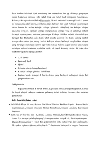 Pada keadaan ini darah tidak membuang sisa metabolisme dan air, akibatnya penguapan
sangat berkurang, sehingga suhu tubuh tetap dan tubuh tidak mengalami kendinginan.
Keluarnya keringat dikontrol oleh hipotamulus. Dermis terletak di bawah epidermis. Lapisan
ini mengandung akar rambut, pembuluh darah, kelenjar, dan saraf. Kelenjar yang terdapat
dalam lapisan ini adalah kelenjar keringat (glandula sudorifera) dan kelenjar minyak
(glandula sebasea). Kelenjar keringat menghasilkan keringat yang di dalamnya terlarut
berbagai macam garam. terutama garam dapur. Keringat dialirkan melalui saluran kelenjar
keringat dan dikeluarkan dari dalam tubuh melalui poripori. Di dalam kantong rambut
terdapat akar rambut dan batang rambut. Kelenjar minyak berfungsi menghasilkan minyak
yang berfungsi meminyaki rambut agar tidak kering. Rambut dapat tumbuh terus karena
mendapat sari-sari makanan pembuluh kapiler di bawah kantong rambut. Di dekat akar
rambut terdapat otot penegak rambut.
Akar rambut
Pembuluh darah
Syaraf
Kelenjar minyak (glandula sebasea)
Kelenjar keringat (glandula sudorifera)
Lapisan lemak, terdapat di bawah dermis yang berfungsi melindungi tubuh dari
pengaruh suhu luar
3) Hipodermis
Hipodermis terletak di bawah dermis. Lapisan ini banyak mengandung lemak. Lemak
berfungsi sebagai cadangan makanan, pelindung tubuh terhadap benturan, dan menahan
panas tubuh.
kulit dapat dibedakan yaitu;
 Kulit TebalTebal 0,8 mm – 1,4 mm. Terdiri dari 5 lapisan. Dari bawah yaitu : Stratum Basale
(Germinativum), Stratum Spinosum, Stratum Granulosum, Stratum Lucidium, dan Stratum
Corneum.
 Kulit TipisTebal 0,07 mm – 0,12 mm. Memiliki 4 lapisan, tanpa Stratum Lucidium (Guton,
Arthur C.) , terdapat pada bagian yang kekurangan rambut (telapak kaki dan telapak tangan).
Stratum Germinativum = Terdiri dari epidermal stem cells, melanocytes, dan keratinocytes.
Merupakan lapisan epidermis paling bawah. Terbentuk dari jaringan ikat longgar. Berbatasan
 