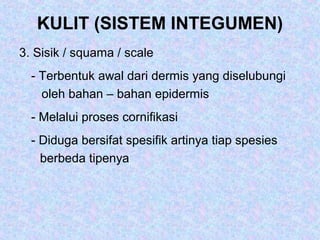 KULIT (SISTEM INTEGUMEN)
3. Sisik / squama / scale
- Terbentuk awal dari dermis yang diselubungi
oleh bahan – bahan epidermis
- Melalui proses cornifikasi
- Diduga bersifat spesifik artinya tiap spesies
berbeda tipenya
 
