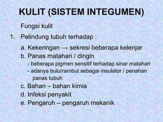 KULIT (SISTEM INTEGUMEN)
Fungsi kulit
1. Pelindung tubuh terhadap :
a. Kekeringan → sekresi beberapa kelenjar
b. Panas matahari / dingin
- beberapa pigmen sensitif terhadap sinar matahari
- adanya bulu/rambut sebagai insulator / penahan
panas tubuh
c. Bahan – bahan kimia
d. Infeksi penyakit
e. Pengaruh – pengaruh mekanik
 
