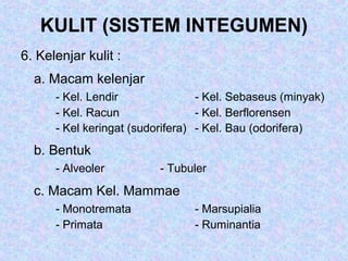 KULIT (SISTEM INTEGUMEN)
6. Kelenjar kulit :
a. Macam kelenjar
- Kel. Lendir - Kel. Sebaseus (minyak)
- Kel. Racun - Kel. Berflorensen
- Kel keringat (sudorifera) - Kel. Bau (odorifera)
b. Bentuk
- Alveoler - Tubuler
c. Macam Kel. Mammae
- Monotremata - Marsupialia
- Primata - Ruminantia
 