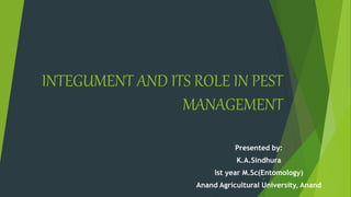 INTEGUMENT AND ITS ROLE IN PEST
MANAGEMENT
Presented by:
K.A.Sindhura
Ist year M.Sc(Entomology)
Anand Agricultural University, Anand
1
 