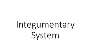 Integumentary
System
 