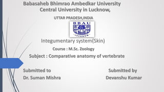 Babasaheb Bhimrao Ambedkar University
Central University in Lucknow,
UTTAR PRADESH,INDIA
Integumentary system(Skin)
Course : M.Sc. Zoology
Subject : Comparative anatomy of vertebrate
Submitted to Submitted by
Dr. Suman Mishra Devanshu Kumar
 