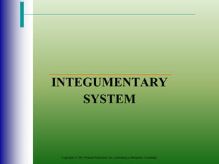Copyright © 2003 Pearson Education, Inc. publishing as Benjamin Cummings
INTEGUMENTARY
SYSTEM
 
