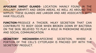 Human Integumentary - system. -1.1.pdf