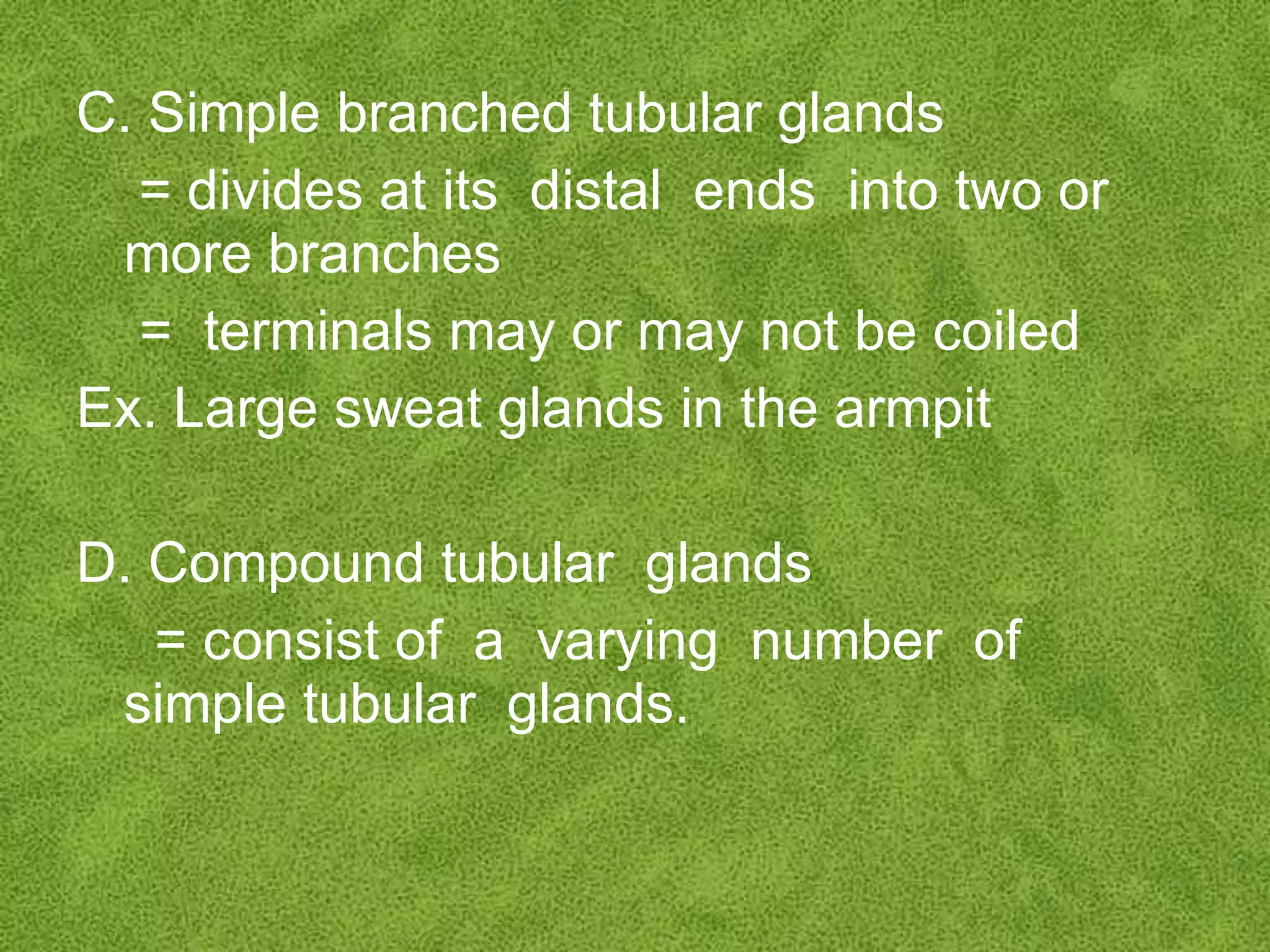 Integumentary System | PPT