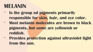 MELANIN
- Is the group od pigments primarily
responsible for skin, hair, and eye color.
- Most melanin molecules are brown to black
pigments, but some are yellowish or
reddish.
- Provides protection against ultraviolet light
from the sun.
 
