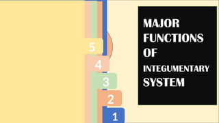 1
2
3
4
5
MAJOR
FUNCTIONS
OF
INTEGUMENTARY
SYSTEM
 