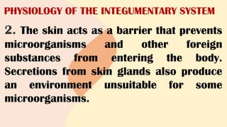 PHYSIOLOGY OF THE INTEGUMENTARY SYSTEM
2. The skin acts as a barrier that prevents
microorganisms and other foreign
substances from entering the body.
Secretions from skin glands also produce
an environment unsuitable for some
microorganisms.
 