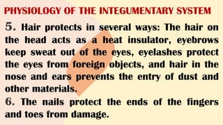 PHYSIOLOGY OF THE INTEGUMENTARY SYSTEM
5. Hair protects in several ways: The hair on
the head acts as a heat insulator, eyebrows
keep sweat out of the eyes, eyelashes protect
the eyes from foreign objects, and hair in the
nose and ears prevents the entry of dust and
other materials.
6. The nails protect the ends of the fingers
and toes from damage.
 