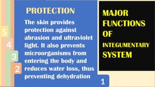 1
2
3
4
5
MAJOR
FUNCTIONS
OF
INTEGUMENTARY
SYSTEM
PROTECTION
The skin provides
protection against
abrasion and ultraviolet
light. It also prevents
microorganisms from
entering the body and
reduces water loss, thus
preventing dehydration
 