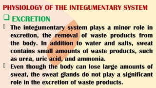 PHYSIOLOGY OF THE INTEGUMENTARY SYSTEM
 EXCRETION
- The integumentary system plays a minor role in
excretion, the removal of waste products from
the body. In addition to water and salts, sweat
contains small amounts of waste products, such
as urea, uric acid, and ammonia.
- Even though the body can lose large amounts of
sweat, the sweat glands do not play a significant
role in the excretion of waste products.
 