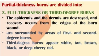 Partial-thickness burns are divided into:
3. FULL-THICKNESS OR THIRD-DEGREE BURNS
- The epidermis and the dermis are destroyed, and
recovery occurs from the edges of the burn
wound.
- are surrounded by areas of first- and second-
degree burns.
- Third-degree burns appear white, tan, brown,
black, or deep cherry red.
 