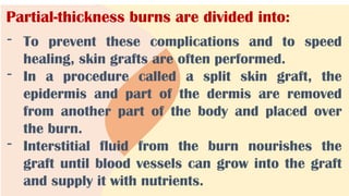 Partial-thickness burns are divided into:
- To prevent these complications and to speed
healing, skin grafts are often performed.
- In a procedure called a split skin graft, the
epidermis and part of the dermis are removed
from another part of the body and placed over
the burn.
- Interstitial fluid from the burn nourishes the
graft until blood vessels can grow into the graft
and supply it with nutrients.
 