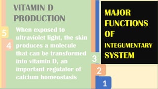 1
2
3
4
5
MAJOR
FUNCTIONS
OF
INTEGUMENTARY
SYSTEM
VITAMIN D
PRODUCTION
When exposed to
ultraviolet light, the skin
produces a molecule
that can be transformed
into vitamin D, an
important regulator of
calcium homeostasis
 