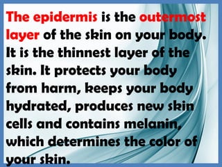 The epidermis is the outermost
layer of the skin on your body.
It is the thinnest layer of the
skin. It protects your body
from harm, keeps your body
hydrated, produces new skin
cells and contains melanin,
which determines the color of
your skin.
 