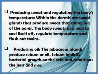  Producing sweat and regulating the body's
temperature: Within the dermis are sweat
glands that produce sweat that comes out
of the pores. The body sweats as a way to
cool itself off, regulate temperature and
flush out toxins.
 Producing oil: The sebaceous glands
produce sebum or oil. Sebum inhibits
bacterial growth on the skin and conditions
the hair and skin.
 