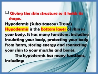  Giving the skin structure so it holds its
shape.
Hypodermis (Subcutaneous Tissue)
Hypodermis is the bottom layer of skin in
your body. It has many functions, including
insulating your body, protecting your body
from harm, storing energy and connecting
your skin to your muscles and bones.
The hypodermis has many functions,
including:
 
